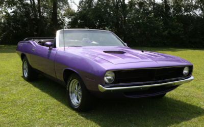 We’ve Gone Plum Crazy